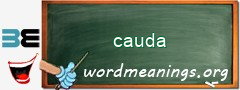 WordMeaning blackboard for cauda